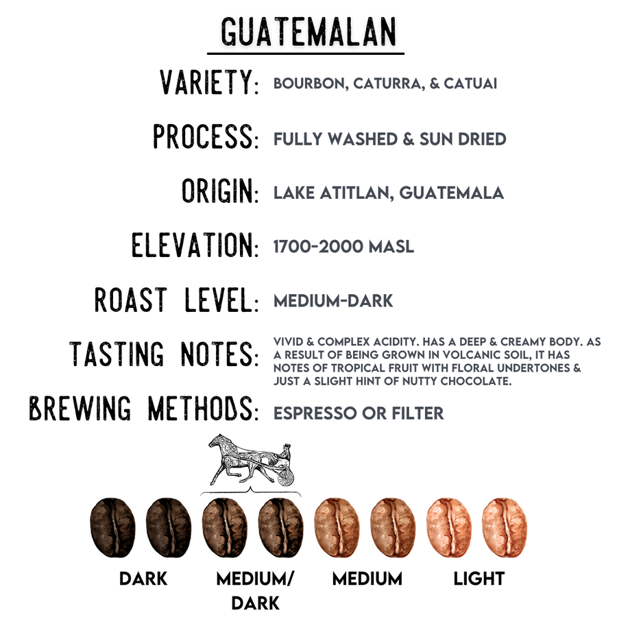 5lb Guatemalan