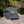 Load image into Gallery viewer, Dad&#39;s Coffee Run Hat - Proceeds to Charity

