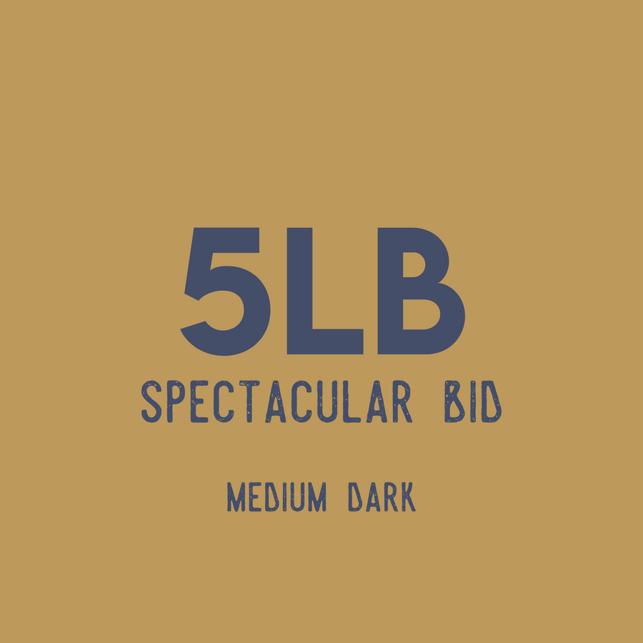 5lb Spectacular Bid