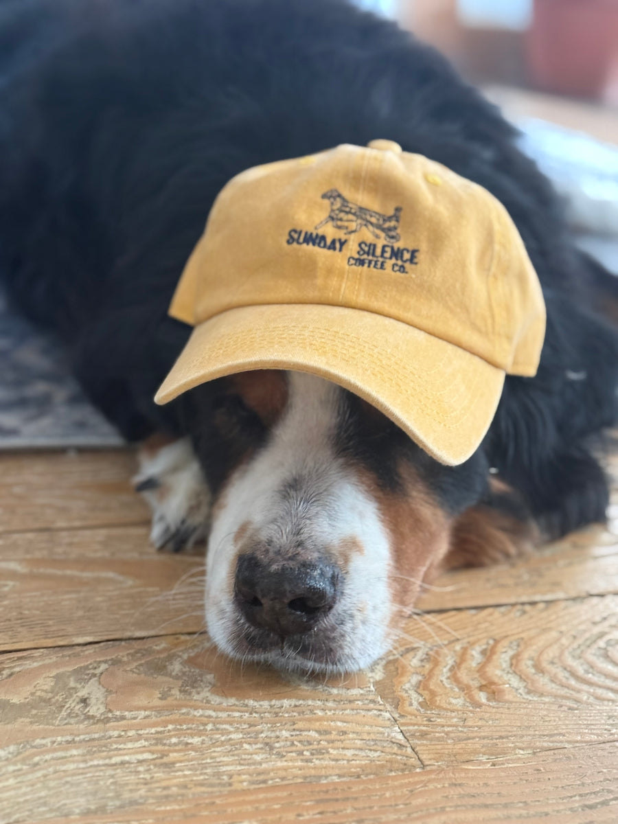 Dad's Coffee Run Hat - Proceeds to Charity